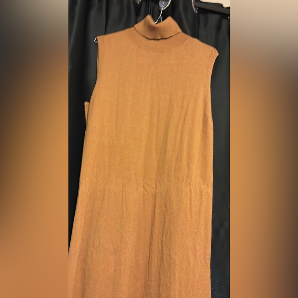 Worthington new cashmere tan dress